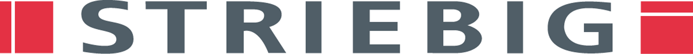 Striebig – Quality Machines Profile S.L.