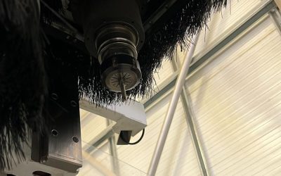 PHOTO-2025-11-21-21-29-01 6